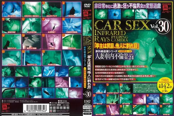 「赤外線盗撮シリーズ」Vol.30 CAR SEX