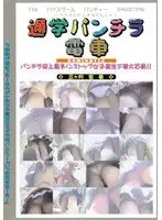 通学パンチラ電車