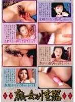 熟女の性器