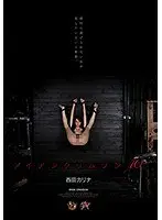 アイアンクリムゾン10 西田カリナ （ブルーレイディスク） （BOD）