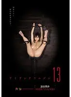 Iron Crimson Vol. 13, Kaho Shibuya