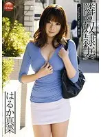 My S***e, the Wife Next Door Mana Haruka