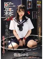 Confinement - I Became A Man's Sex Toy - Hikaru Minazuki