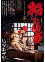 The Tantalizing Bodhisattva Ayano Someya