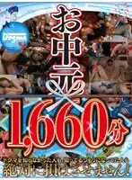 [Summer Special] Dogma Great Value Summer Collection