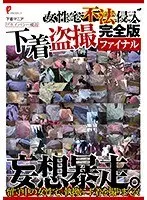 女性宅不法侵入 下着盗撮 完全版ファイナル （DOD）