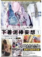 Wild Panty Thief 1