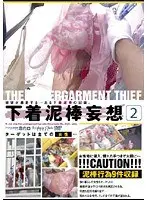 Wild Panty Thief 2