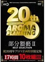 部分猥褻II BEST SELECTION 17時間10枚組DVDBOX