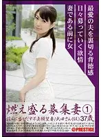 燃え盛る募集妻 淫らに盛りだす不貞願望妻 1