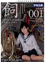 Creampie Domesticated In A 4 Square Meter Room The Brass Band Club Tsubasa Attendance Number 001
