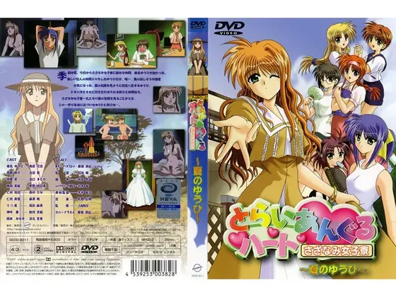 Triangle Heart Ripping Female Dorm - Summer's Setting Sun -