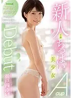 新人至極ちっぱい美少女Debut 天才数学少女の敏感乳首でSEX方程式を解いちゃった！ 瀬戸内ゆい （DOD）