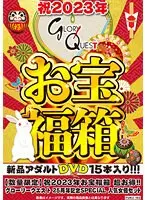【数量限定】祝2023年お宝福箱 超お得！！グローリークエスト 25周年記念SPECIAL 人気女優セット