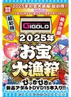 [Limited Quantity] Great Treasure Catch Box Super Value! ! [GIGOLO] Lots of things from married women to mature women! ! Midsummer Demon Shiko Set