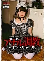 密室アナル調教 島崎りか