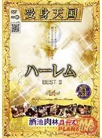 Passive Girl Harem Heaven 2 Best, The Feast Of Debauchery.