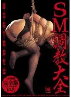 Akihabara Video Box Masturbation Voyeur. 07
