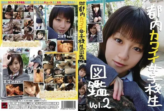 都内カワイイ女子校生図鑑 Vol.2