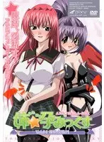Sister☆Pregnant Mix VOL.04 Hitomi sister is fertilized!