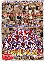 小林興業 豊満！巨尻！肉々しい熟女たち！ II 8時間 【2枚組】（DOD）