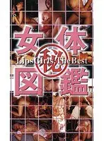 女体（秘）図鑑