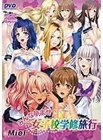 みんな孕ませ♪女子校学修旅行（2017年製PCソフト商品）（DVDPG）
