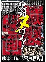 ヘンリー塚本原作 絶対ヌける！猥褻（わいせつ）図画 快楽にのたうついい女-新作撮り下ろし過激SEX集-