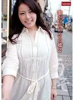 妻がついた初めての嘘 2
