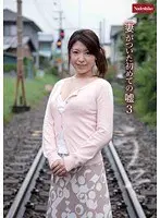 妻がついた初めての嘘 3