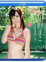新人 紺野まこ 〜某温泉街にある有名高級老舗旅館の一人娘が期間限定専属AVデビュー！！〜 in HD（ブルーレイディスク）