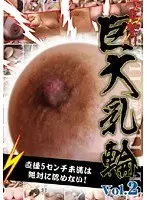 電撃！！巨大乳輪 Vol.2