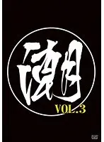 潮 VOL.3