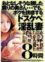 おとなしそうな顔した隣りの奥さん…でも、ボクを誘惑するドスケベ淫乱妻8時間（2枚組）