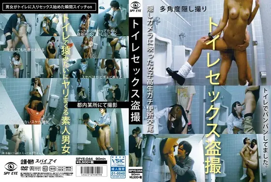 トイレセックス盗撮 （DOD）