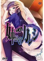 姉さんのカレシ 〜憧れの姉さんが親友と付き合い始めました〜（DVDPG）