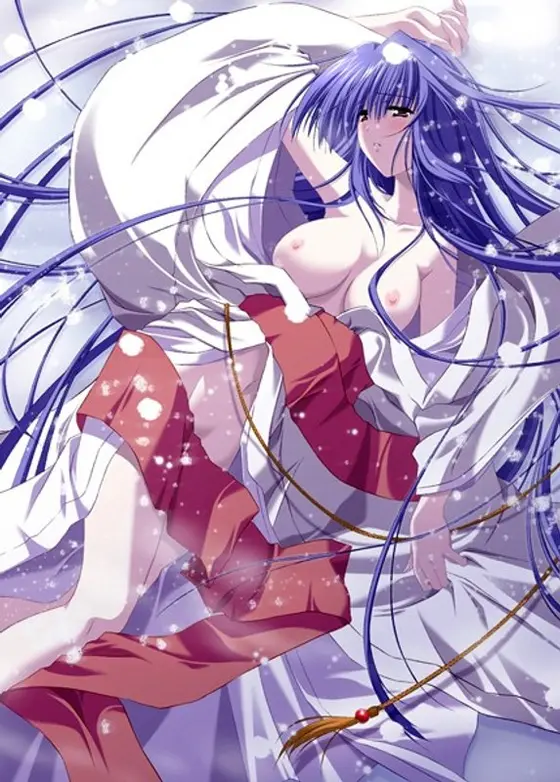 Snow Shadow ~ setuei ~ (DVDPG)