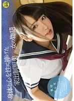 The Pussies Of Japan - An Illustrated Reference vol. 2