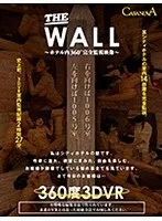 [VR] THE WALL