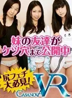 [VR] Stepsisters Friends Show Their Assholes