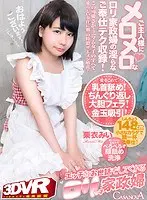 [VR] High Picture Quality Compatible. This L****a Maid Will Also Take Care Of You Sexually