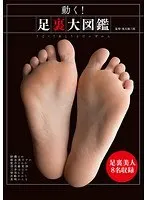 Move! Encyclopedia of soles of feet