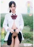 初夏の果実/宮崎リン