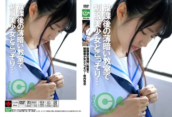 放課後の薄暗い教室で制服美少女とこっそり…校内性交 （DOD）