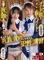 【VR】引退するメイド長から初心な新人メイドへ 日課の夜伽を引き継ぎ 磨き抜かれた乳首責めを伝授する3P性講習