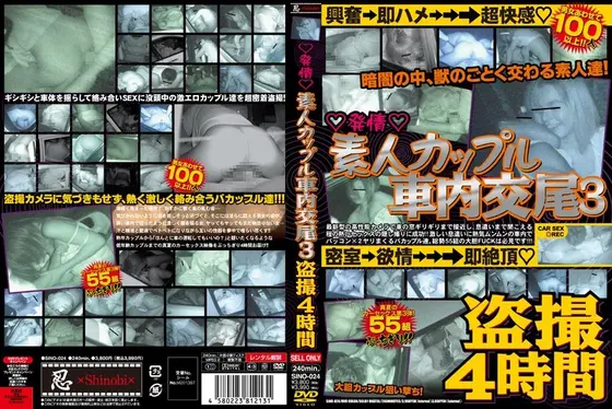 ◆発情◆ 素人カップル車内交尾 3 盗撮4時間