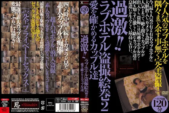 過激！！ラブホテル盗撮絵巻 2 愛を確かめるカップル達