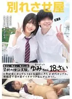 別れさせ屋