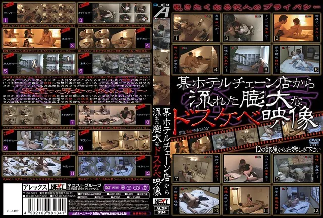 某ホテルチェーン店から流れた膨大なドスケベ映像