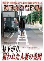 人妻強●猥褻事件簿 昼下がり、狙われた人妻の美肉
